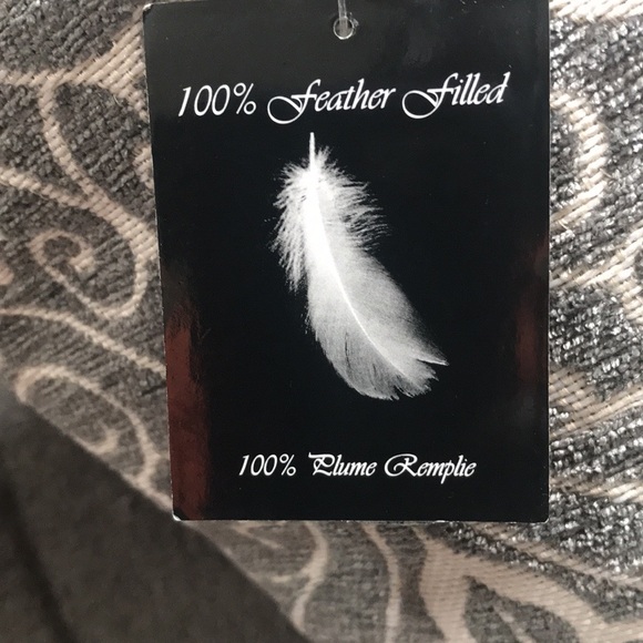 NWT set of 2 decorative pillows - Picture 4 of 6